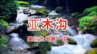 剧院的麻烦